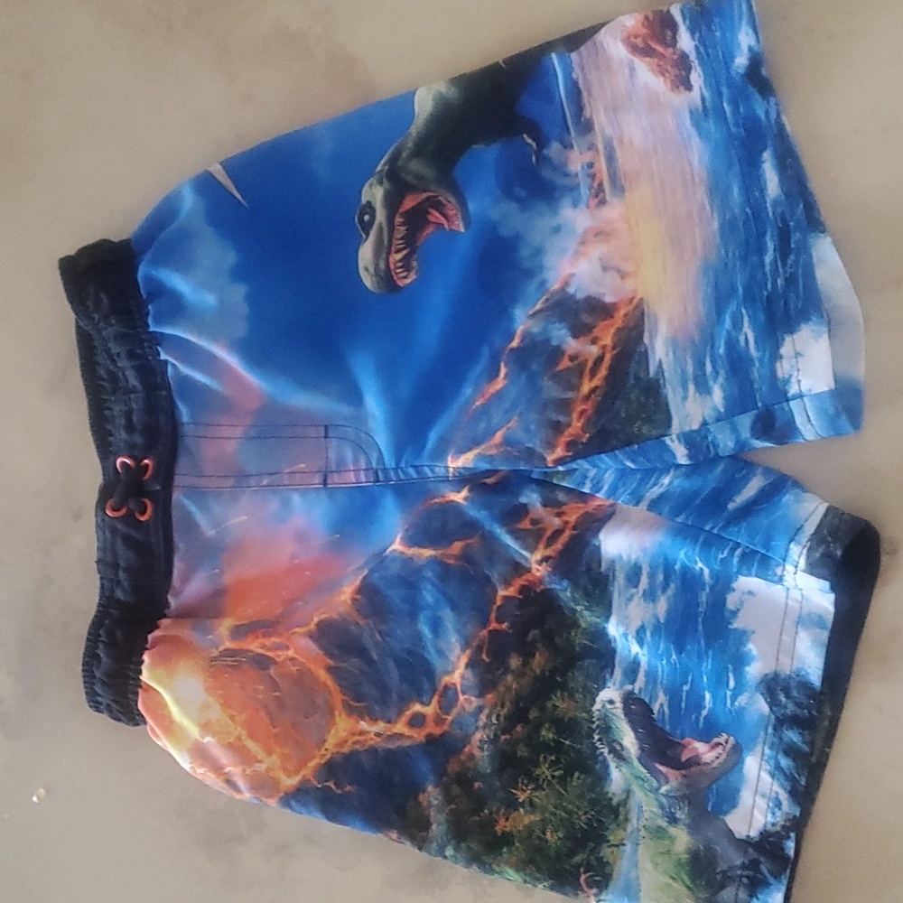 **SALE**Boys Dinasour Swim Trunks
